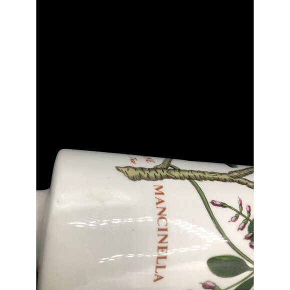 Portmeirion Ceramic Ice Water Rolling Pin Botanic Garden Mancinella Tree 14" x 3 - Picture 7 of 9